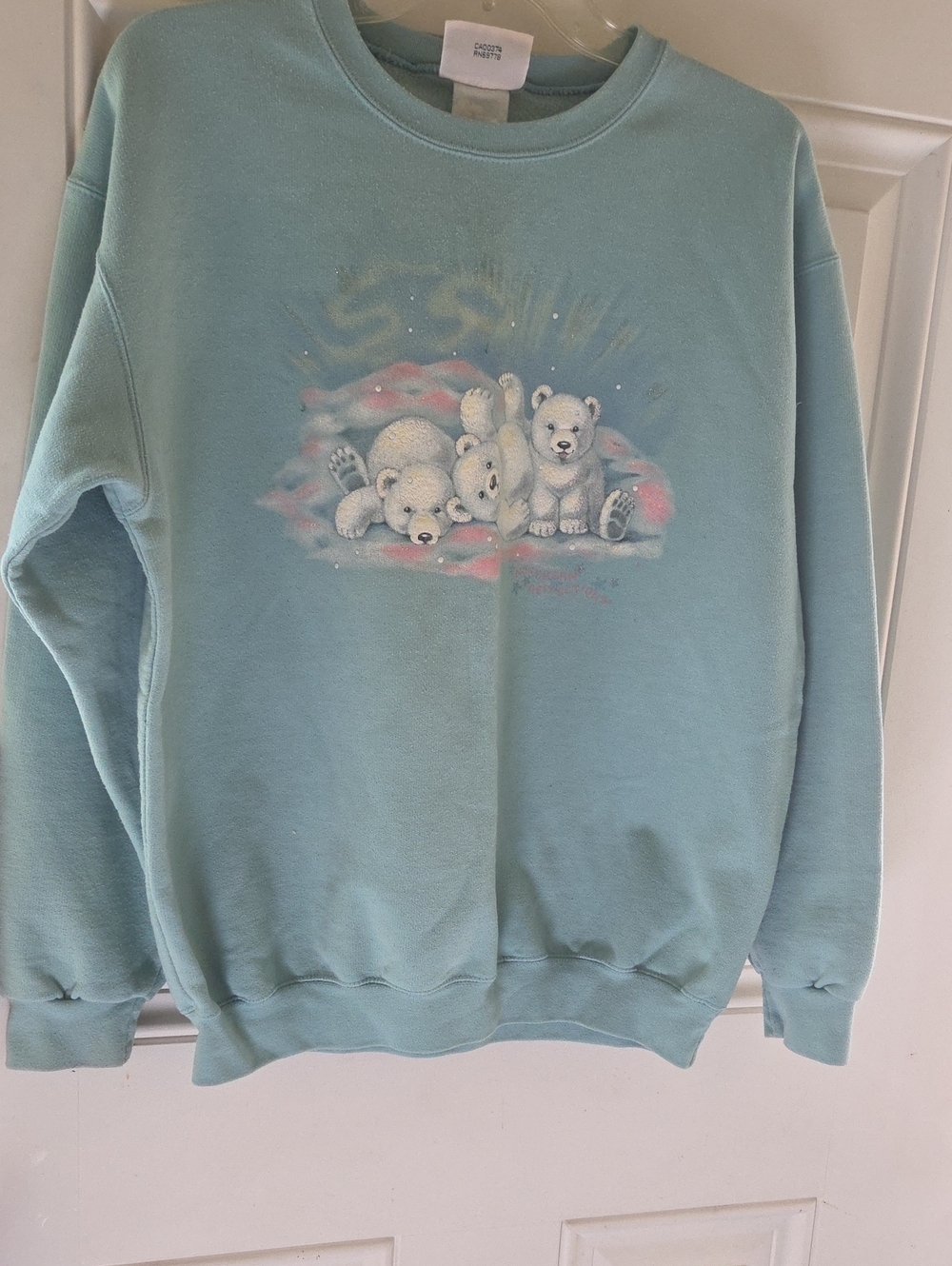 Northern Reflections Mint Green Polar Bear Graphic Crewneck